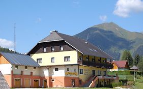 Alpenhotel & Aparthotel Lanz